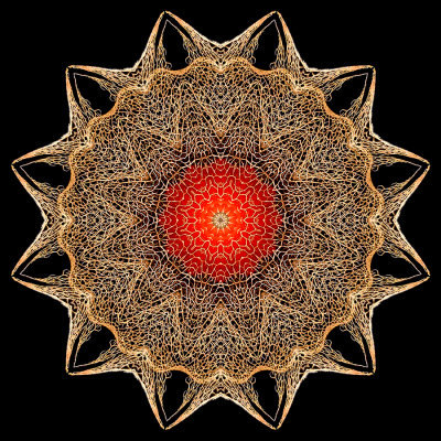 Kaleidoscope created with a dry flower