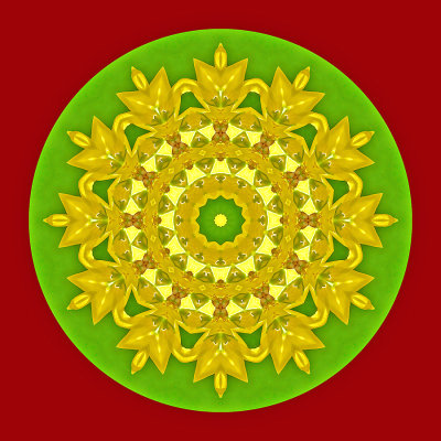Kaleidoscopic picture created with a Forsythia bush seen in March