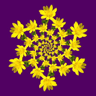 g12/54/24354/3/171466077.pyHKoujn.jpg