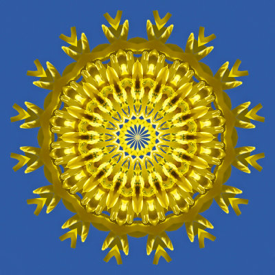 Kaleidoscope created with a picture of a forsithya in my backyard with the background of the blue sky in March