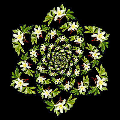 g12/54/24354/3/171512788.qfhFSQFj.jpg