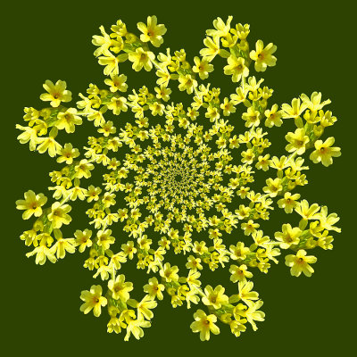 g12/54/24354/3/171512792.0e3s0shj.jpg