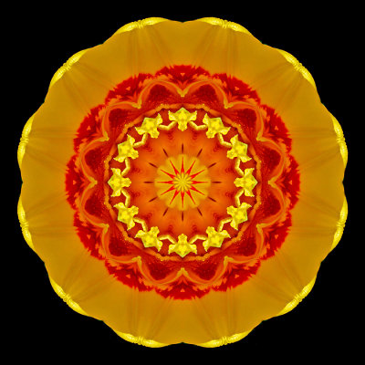 Kaleidoscope created with a tulip flower seen in April