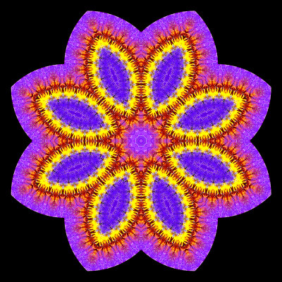 Evolved kaleidoscope created with a garden flower seen in April