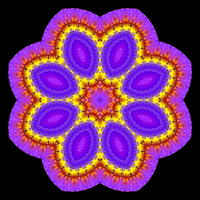 Evolved kaleidoscope created with a garden flower seen in April