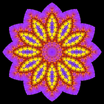 Evolved kaleidoscope created with a garden flower seen in April