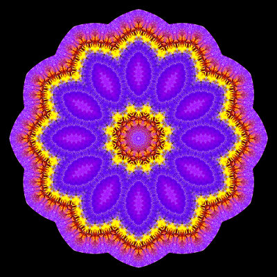 Evolved kaleidoscope created with a garden flower seen in April