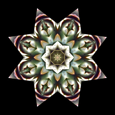 Kaleidoscopic picture created with an artichoke