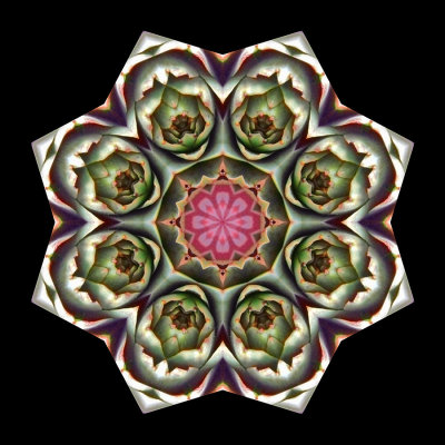 Kaleidoscopic picture created with an artichoke