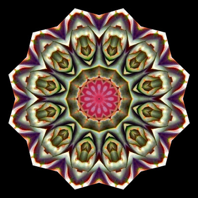 Kaleidoscopic picture created with an artichoke