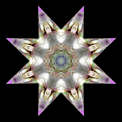 Kaleidoscopic picture created with an artichoke