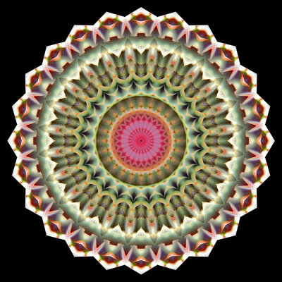 Enhanced kaleidoscope created with a picture of an artichoke