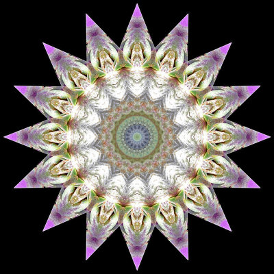 Enhanced kaleidoscope created with a picture of an artichoke