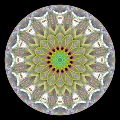 Enhanced kaleidoscope created with a picture of an artichoke