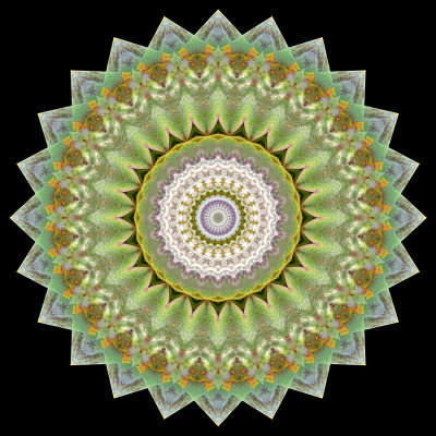 Enhanced kaleidoscope created with a picture of an artichoke