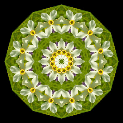 g12/54/24354/3/171628543.mcUWjkGf.jpg