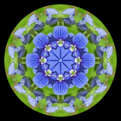 g12/54/24354/3/171675566.GpMNxsAu.jpg