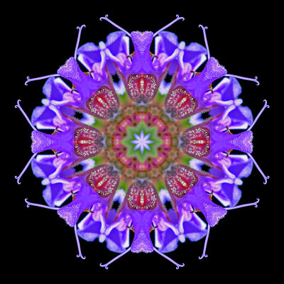 g12/54/24354/3/171699396.c0W8krlu.jpg