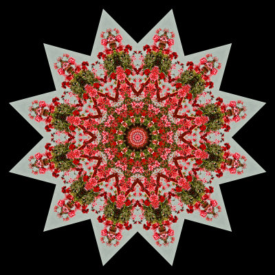 Kaleidoscope created with a flower box at a window