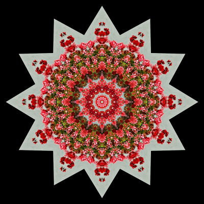 Kaleidoscope created with a flower box at a window