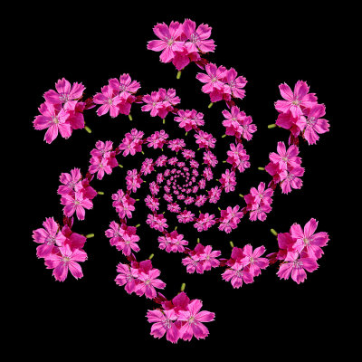 g12/54/24354/3/171794980.DPXQd3mq.jpg