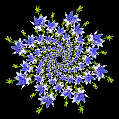 g12/54/24354/3/171855094.ndGUfCgu.jpg