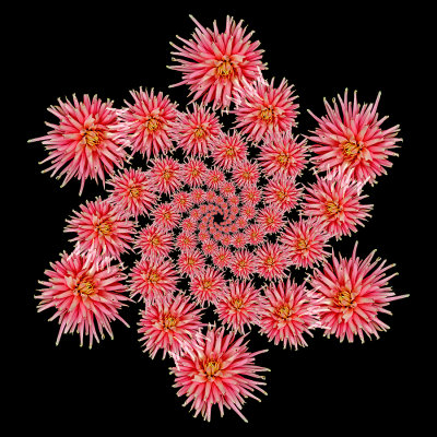 g12/54/24354/3/171855912.D6Pyp9Mm.jpg