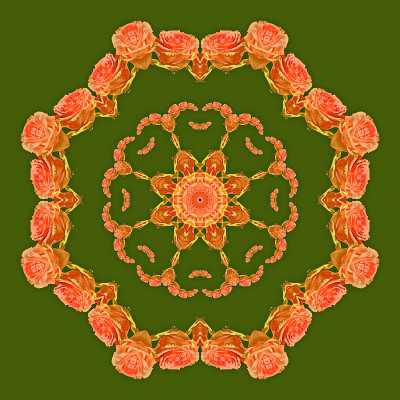 Kaleidoscope created with a rose