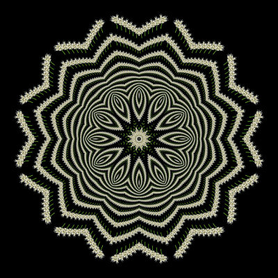 Evolved kaleidoscope created with a small wildflower seen in the forest
