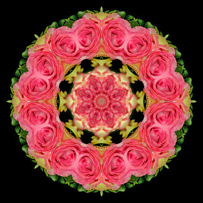 Kaleidoscopic picture created with two roses