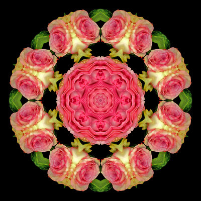 Kaleidoscopic picture created with two roses