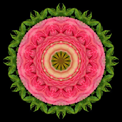 Kaleidoscopic picture created with two roses