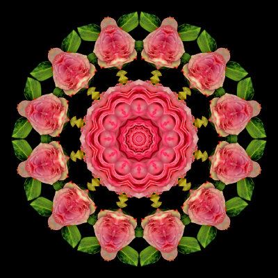 Kaleidoscopic picture created with two roses