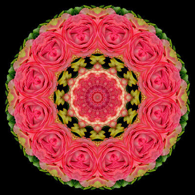 Kaleidoscopic picture created with two roses