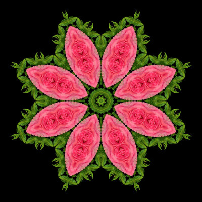 Evolved kaleidoscope created with two roses.  