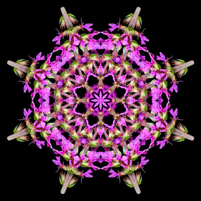 g12/54/24354/3/171894008.fPctG5Ui.jpg