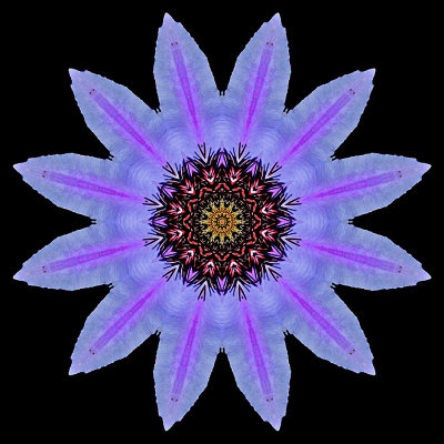 Kaleidoscopic picture created with a clematis flower