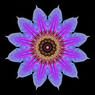 Kaleidoscopic picture created with a clematis flower