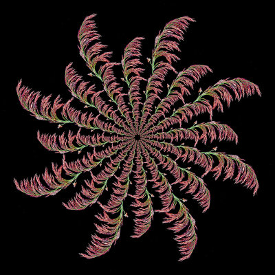 Spiral arrangement created with the bloom of a reed plant