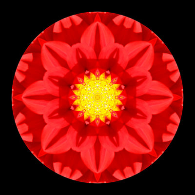 Kaleidoscope created with a dahlia seen in Locarno in September