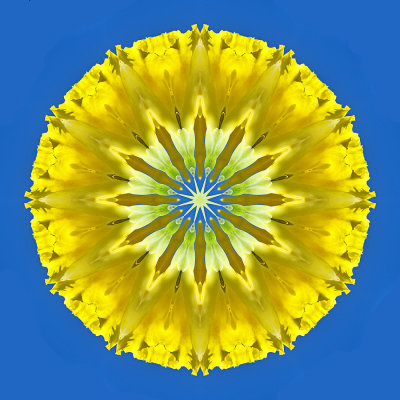 Kaleidoscope created with a yellow flower and the blue sky seen in Locarno in September