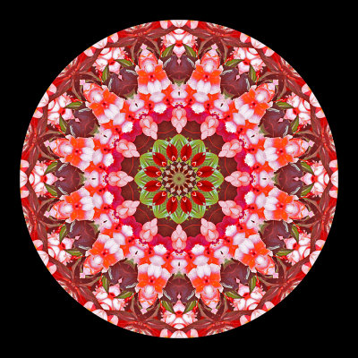 Kaleidoscope created with flowers seen in a public garden in Locarno