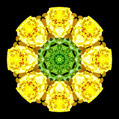 Kaleidoscope created with a flower seen in a garden in Locarno