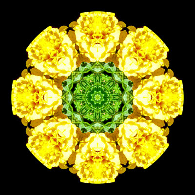 Kaleidoscope created with a flower seen in a garden in Locarno