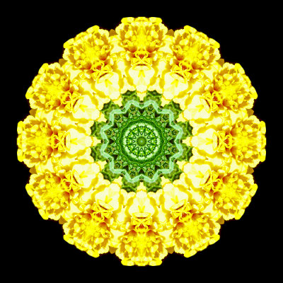 Kaleidoscope created with a flower seen in a garden in Locarno