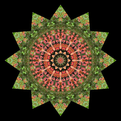 Kaleidoscopic picture created with bushes having colored leaves in October