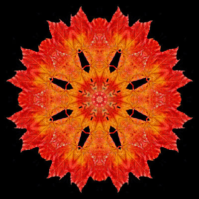 Kaleidoscopic picture created with an autumn leaf in October