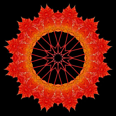 Kaleidoscopic picture created with an autumn leaf in October