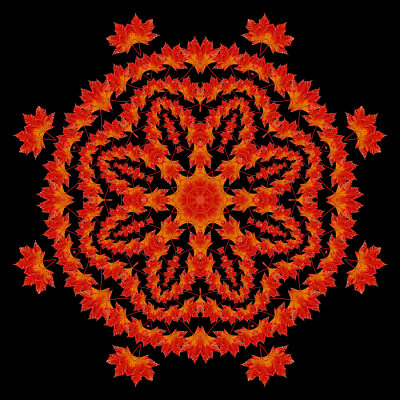 Evolved kaleidoscope created with an autumn leaf
