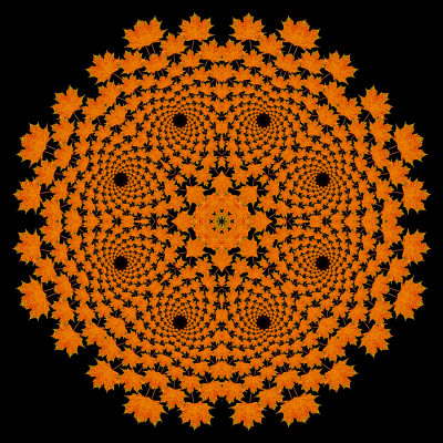 Evolved kaleidoscope created with an autumn leaf